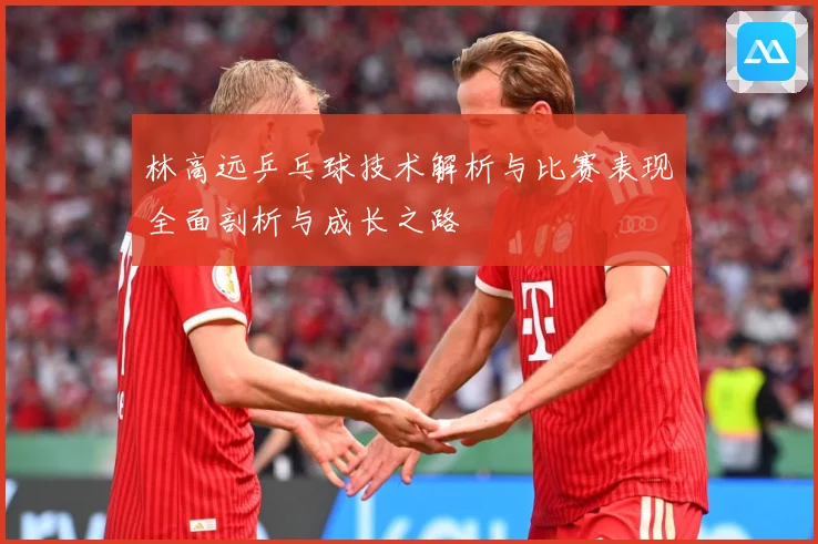 林高远乒乓球技术解析与比赛表现全面剖析与成长之路