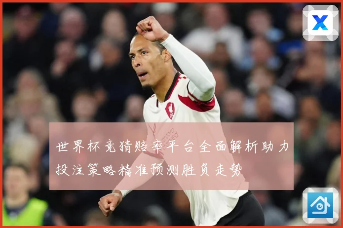 世界杯竞猜赔率平台全面解析助力投注策略精准预测胜负走势