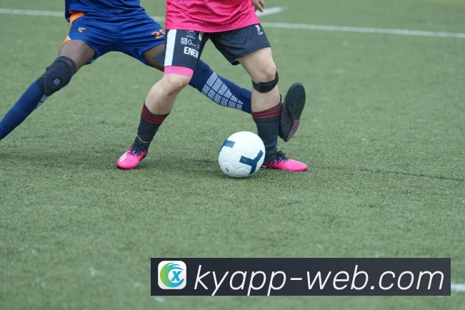 开云平台展示图